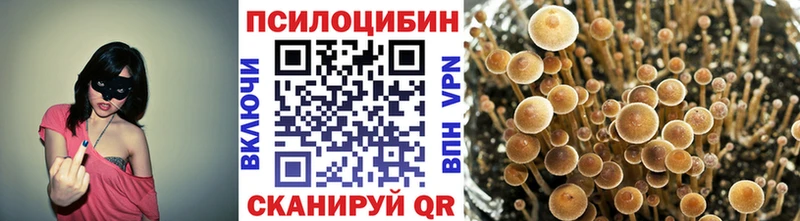 где купить наркоту  Дзержинск  Галлюциногенные грибы ЛСД 